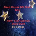 Deep House NU Disco Mix - New Year Edition 2023-2024