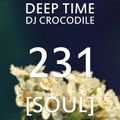 Deep Time 231 [soul]