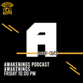 Awakenings Podcast #137 - KI_KI