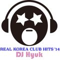 REAL KOREA CLUB HITS '14