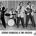 Jumpin Johnny B - Sonny Burgess Hour