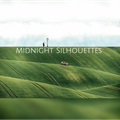 Midnight Silhouettes 11-21-21