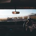 Pulse - Ruta 40 (vol.1) 