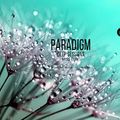 Paradigm Deep Sessions September 2022 by Miss Disk