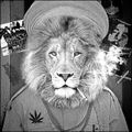 Ride the Lion to Zion (Reggae)