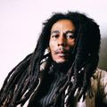DJ Funkshion - Roots, Rock, Reggae (The Bob-Marley-No-Hits-Included-Tribute-Mix)