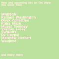#747 New MNDSGN | Kamasi Washington | Onyx Collective | DJ Paypal | Blue Lab Beats | Matthew Herbert