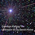 Freedom Calling The Unknown 03 by David Home-DJ
