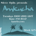 Steve Optix Presents Amkucha on Kane FM 103.7 - Week 125