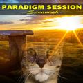 PARADIGM SESSION  - Savannah -