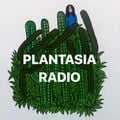 PLANTASIA - GREECE