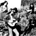 Wild & Free Grass Garden, Acid Folk Special '19, live Peter Laughner for new box set, Canada & more