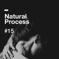 Natural Process #15
