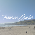 Terrace Audio Mixtape Vol. 25 (house, garage, techno)