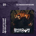 Structured Rhythms Volume 1 - Mixed by DJ Shadowfigure