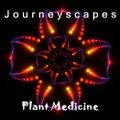 PGM 094: Plant Medicine