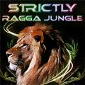 DJ STP STRICTLY RAGGA JUNGLE RADIO 002 www.strictlyraggajungle.com