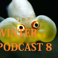 Winter Mix 80 - Podcast 8 (June 2016)