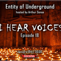 Arthur Sense - Entity of Underground #018: I Hear Voices [January 2013] on Insomniafm.com