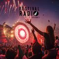 The Festival Radio #1 | Best of EDM & Electro House Remixes & Mashups | Party Dance Music Mix