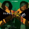 Dancehall R&B Volume 1 (Mo Fiyah Vibes and Sexy RNB Cuts)