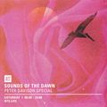 Sounds Of The Dawn (Peter Davison Special) - 20th August 2016