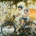 Deep House 163