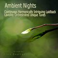 Ambient Nights - Continuous Harmonically Intriguing Laidback Lavishly Orchestrated Unique Tunes