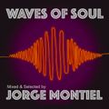 Waves Of Soul by Jorge Montiel