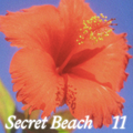 Secret Beach ~ 11