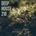 Deep House 210