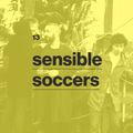 13 - sensible soccers