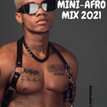 BEST MINI-AFRO 2021 MIX -FLINSPINNER
