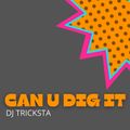 DJ Tricksta - Can U Dig It