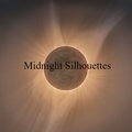 Midnight Silhouettes 1-8-23