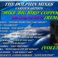 THE DOLPHIN MIXES - VARIOUS ARTISTS - ''MIKE 'BIG BIRD' COPPOCK'' (REMIXES) (VOLUME 2)