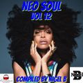 NIGEL B (NEO SOUL 12 FEMALE)(COMPILED MARCH 2013)