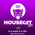 Deep House Cat Show - It is what it is Mix - with Alex B. Groove // incl. free DL