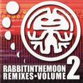 Rabbit In The Moon - Rabbit In The Moon Remixes • Volume 2 [1999]