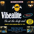 LTJ Bukem - Vibealite x Back in the Day Live 1996 