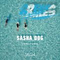 Sasha Dog - live rec at Breaks the Rules (X-park/13.08.17)