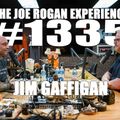 #1335 - Jim Gaffigan