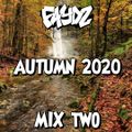 FAYDZ - Autumn 2020 (Mix 2)