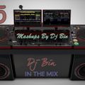 Dj Bin - In The Mix Vol.35