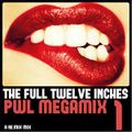 The Full Twelve Inches...PWL Megamix Volume 1