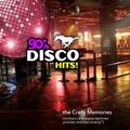 90's Disco Hits - the Crazy Memories