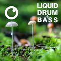 Liquid Drum and Bass Sessions  #36 [December 2020]