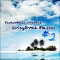 Yankee's House & Electro MashUp #2 (Springbreak Mix) (2012)