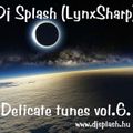 Dj Splash (Lynx Sharp) - Delicate tunes vol.06 2013 www.djsplash.hu