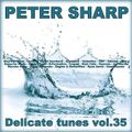 Dj Splash (Peter Sharp) - Delicate tunes vol.35 2018